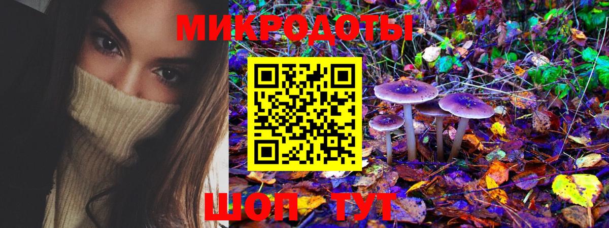 Галлюциногенные грибы Psilocybe  Вход с VPN  Псилоцибиновые грибы мухоморы  Фрязино 