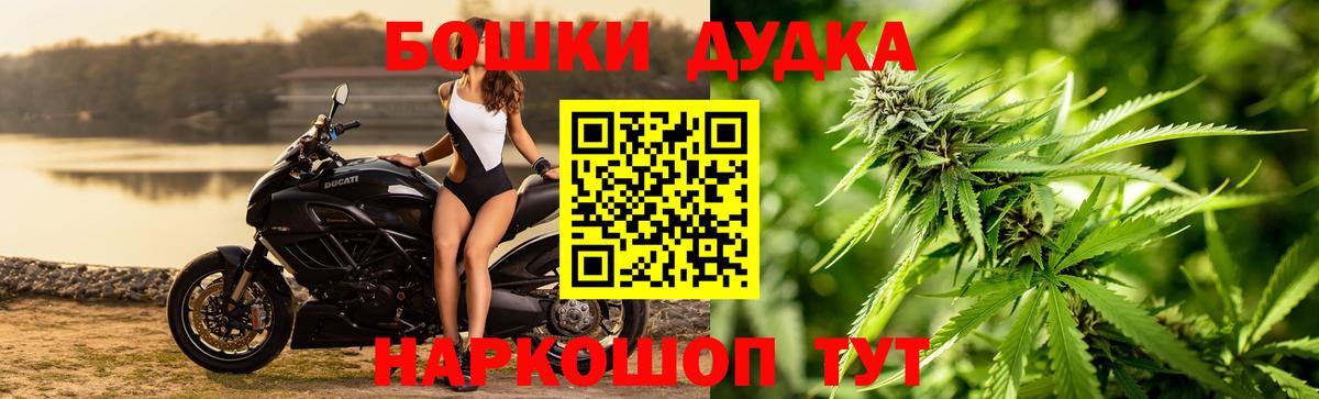 Бошки марихуана конопля  Шишки марихуана план  Каннабис White Widow  Канабис семена  Фрязино  Вход с VPN 